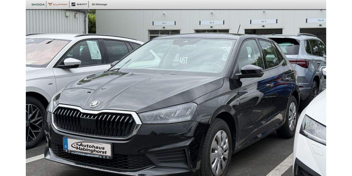 Skoda Fabia 38.325 km 13.690 &euro; Castrop-Rauxel 44579