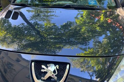 Peugeot 206 222.598 km 1.600 &euro; Dortmund 44135