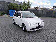 Lupo