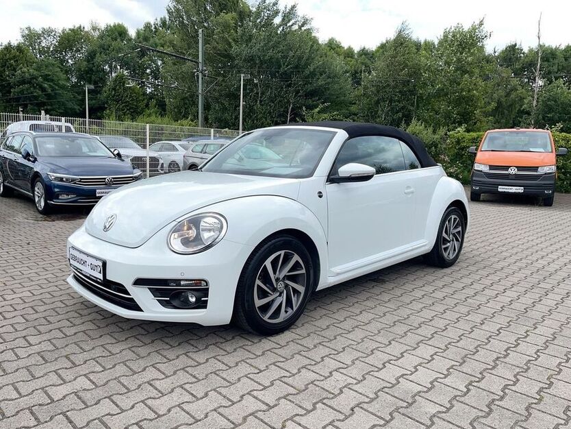 Beetle