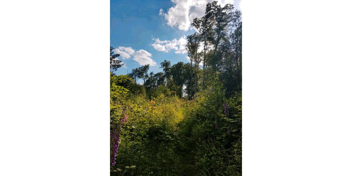 Einfamilienhaus Dortmund Gartenstadt - 5 Zimmer, 120 m&sup2;, 580.000&euro; | Angebot:26412493