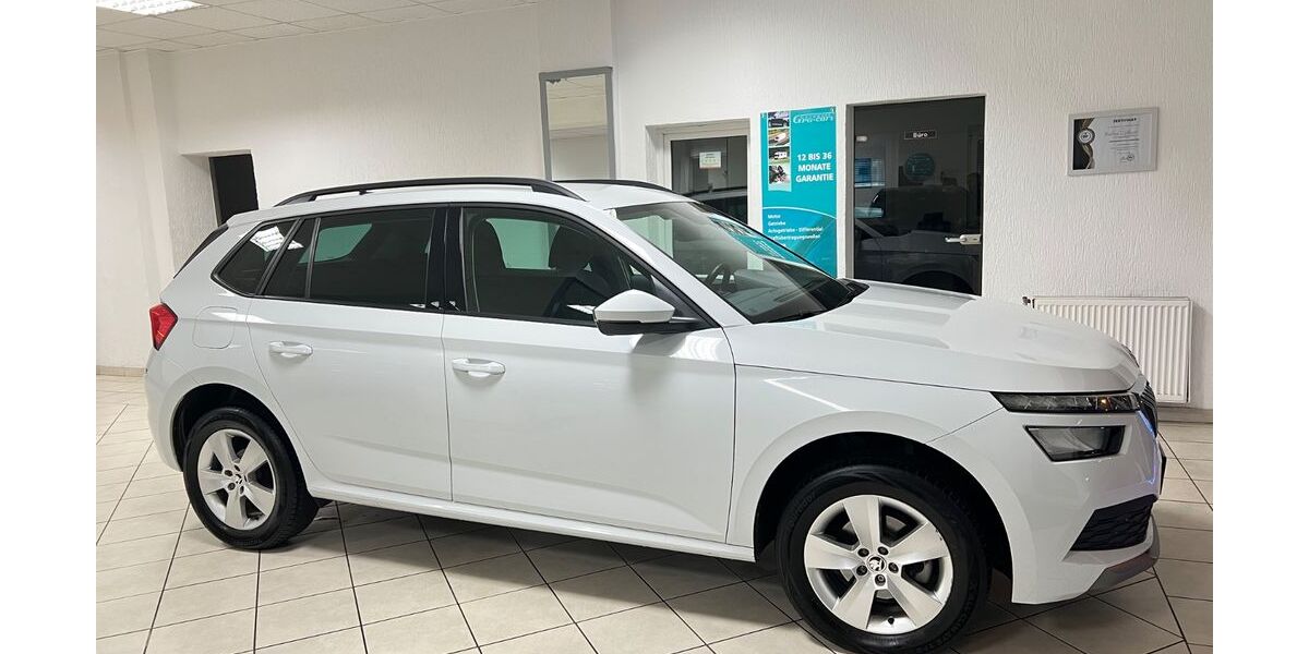 Skoda Kamiq 66.382 km 19.499 &euro; Voerde 46562