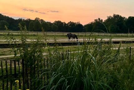 Großzügiges Einfamilienhaus zu vermieten 5 zimmer