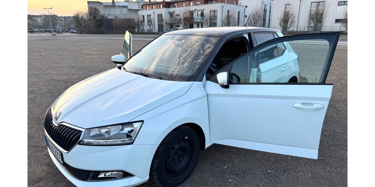 Skoda Fabia 86.500 km 10.200 &euro; Mettmann 40822