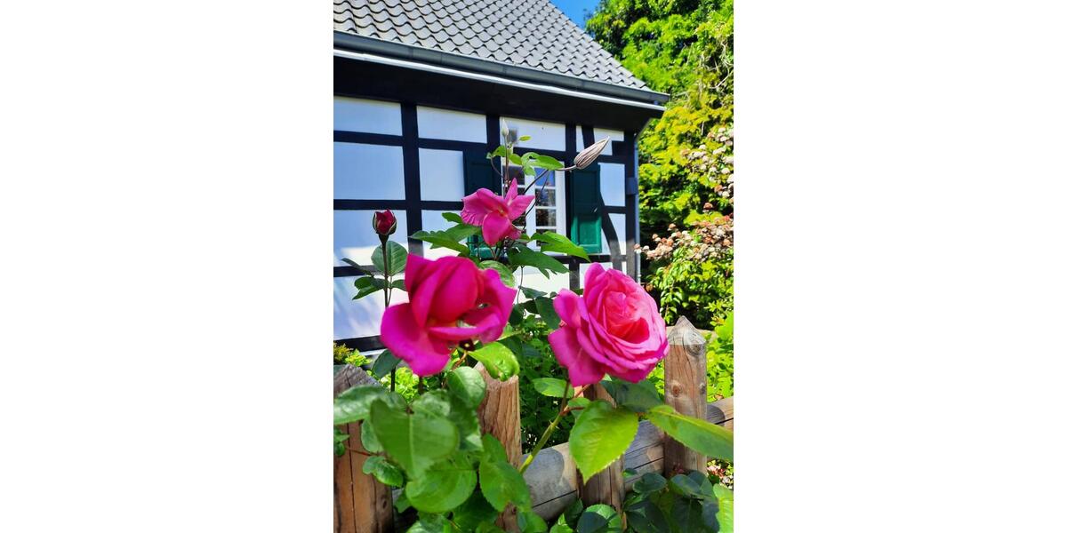 Einfamilienhaus Mülheim an der Ruhr Linksruhr - 5 Zimmer, 170 m&sup2;, 975.000&euro; | Angebot:27428308