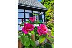 Einfamilienhaus Mülheim an der Ruhr Linksruhr - 5 Zimmer, 170 m&sup2;, 975.000&euro; | Angebot:27428308