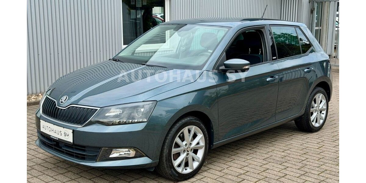 Skoda Fabia 119.000 km 8.480 &euro; Castrop-Rauxel 44575