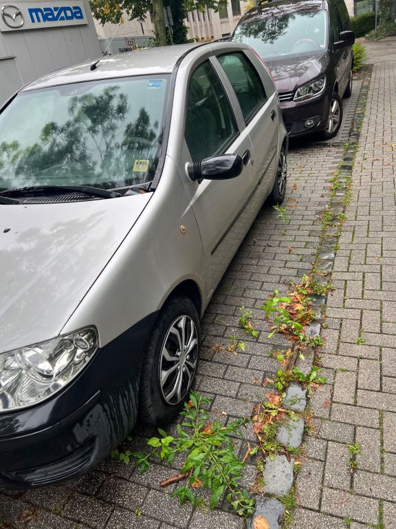 Punto