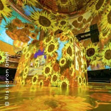 Vincent van Gogh - Sehnsucht 31.01.2026 Visiodrom im Gaskessel Wuppertal