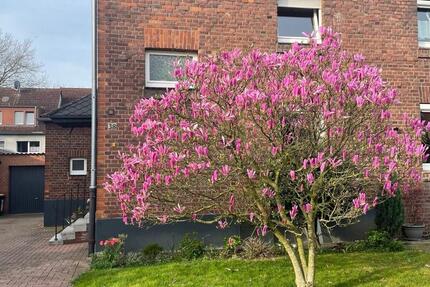 Haus Duisburg Rheinhausen - 5 Zimmer, 107 m&sup2;, 278.000&euro; | Angebot:24945417