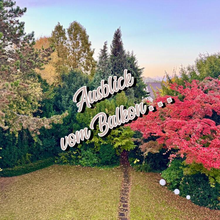 Traumhafte Etagenwohnung in Gladbeck zu vermieten! zimmer