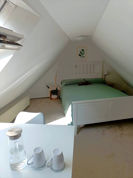 Charmante Dachgeschoßwohnung im beliebten Dortmunder Unionsviertel