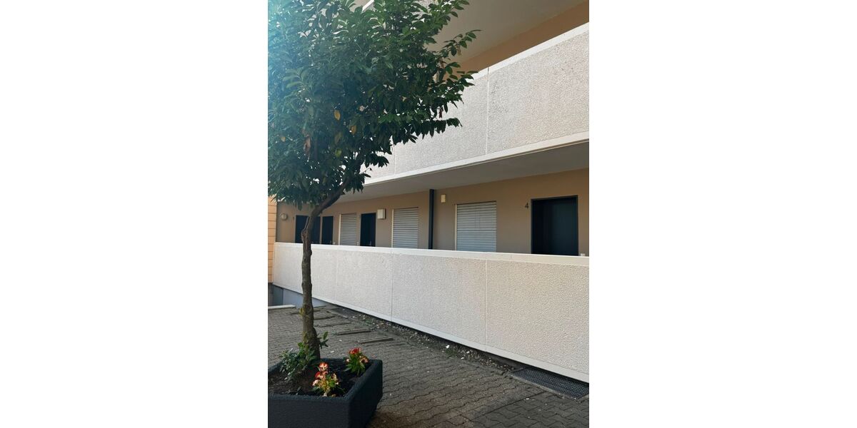 nähe Zentrum, helle 2,5 Zimmer Wohnung mit Bad Gäste WC & Balkon. - 2- Gladbeck Brauck | Angebot:27145801