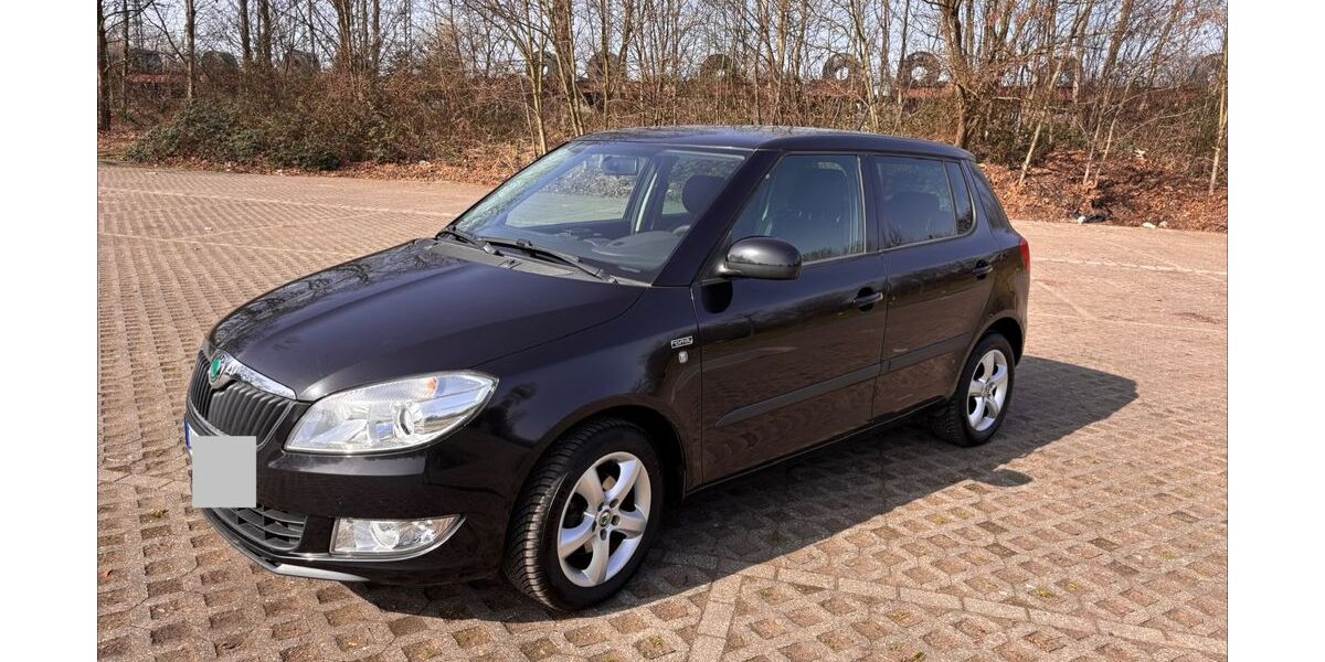 Skoda Fabia 154.500 km 4.900 &euro; Duisburg 47229