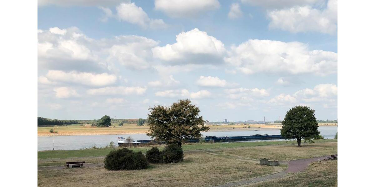 3-Zimmer mit Terrasse und Rheinblick! 3 zimmer