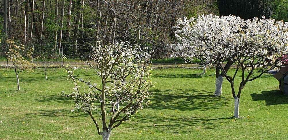 Mehrfamilienhaus, Wohnhaus Hagen Vorhalle - 630.000&euro; | Angebot:24209451