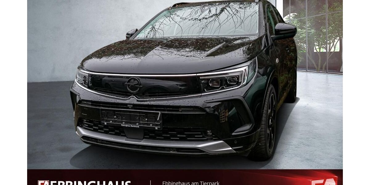 Opel Grandland (X) 20.487 km 28.950 &euro; Dortmund 44225