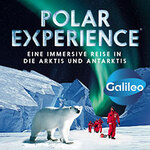 POLAR EXPERIENCE - Die immersive Ausstellung | Flex Ticket Oktober