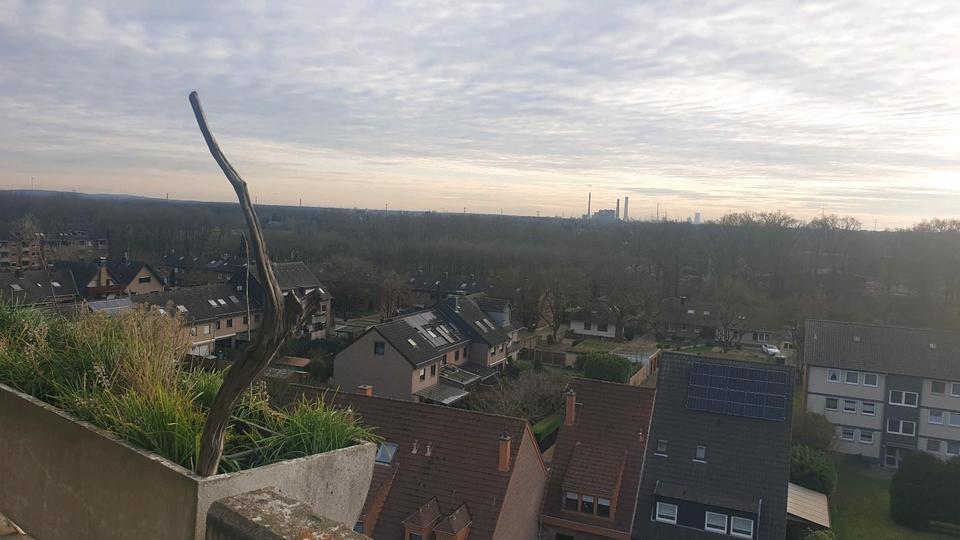 Wohnung sammt Küche, trockner spülmaschine zu vermieten 1 zimmer