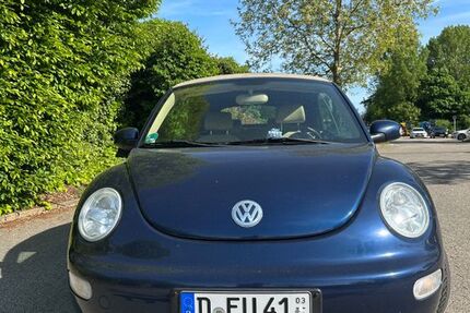 VW Beetle