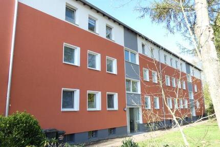 Wohnung Datteln - 3 Zimmer, 74 m&sup2;, 595&euro; | Angebot:25590114