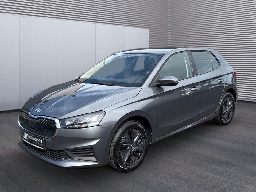 Skoda Fabia 71.250 km 12.890 € Waltrop 45731