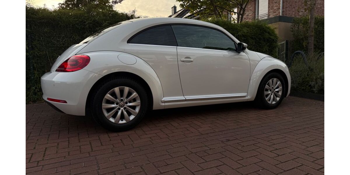 VW Beetle 71.369 km 12.600 &euro; Duisburg 47228