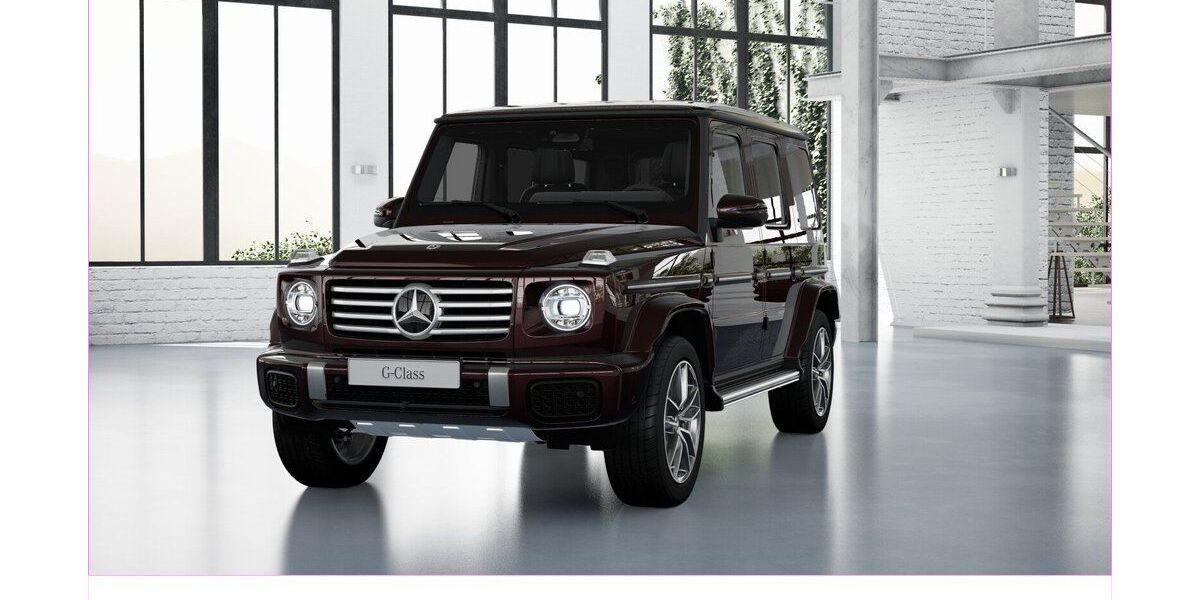 Mercedes-Benz G 450 6.200 km 160.980 &euro; Dortmund 44147