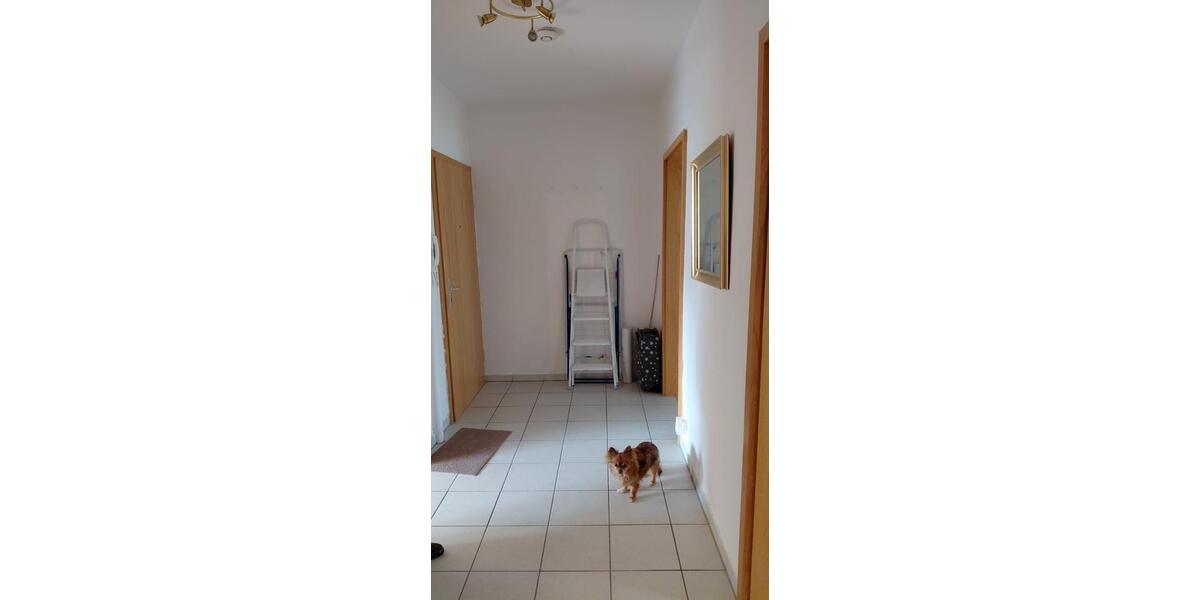 Etagenwohnung Gelsenkirchen Buer - 2 Zimmer, 60 m&sup2;, 500&euro; | Angebot:26168559