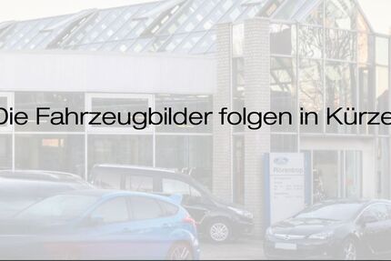 Ford Tourneo Custom 21.500 km 53.979 € Lünen 44532