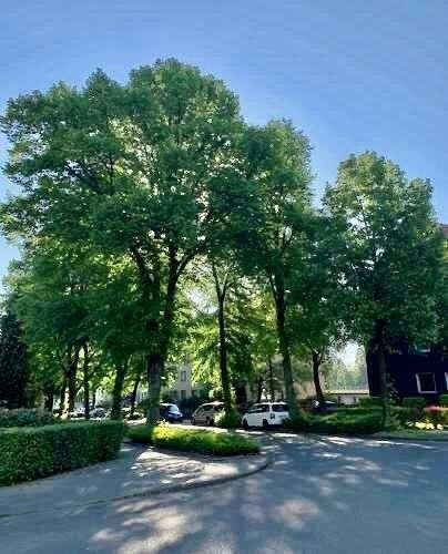 Etagenwohnung Essen Stadtbezirk IV - 1 Zimmer, 45 m&sup2;, 395&euro; | Angebot:20802521