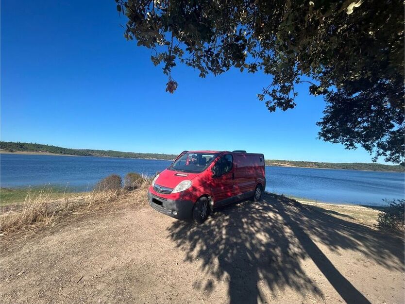 Vivaro