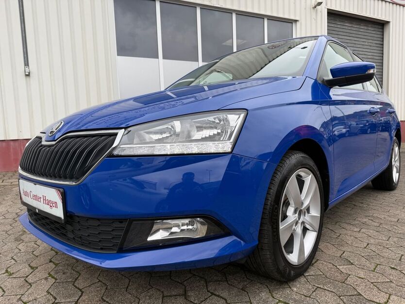 Skoda Fabia 115.390 km 6.980 € Hagen 58135