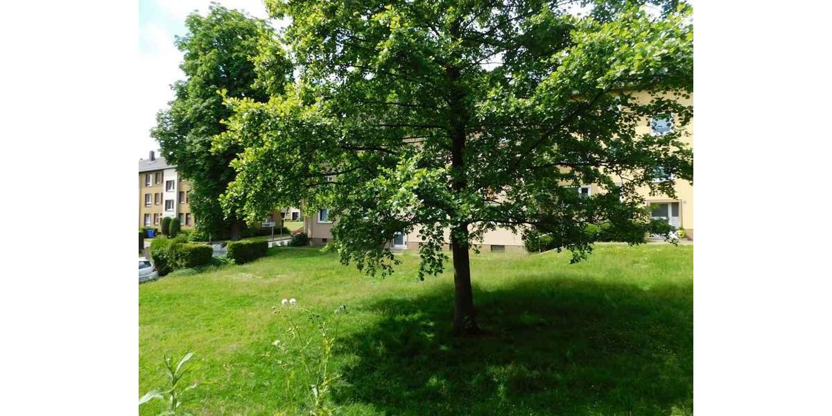 Erdgeschoßwohnung Heiligenhaus - 2 Zimmer, 50 m&sup2;, 499&euro; | Angebot:25365390