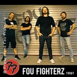 Fou Fighterz