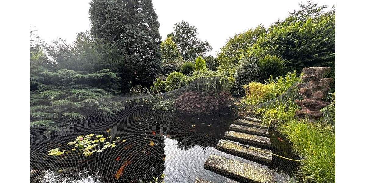 Mehrfamilienhaus, Wohnhaus Gelsenkirchen Horst - 895.000&euro; | Angebot:24486970