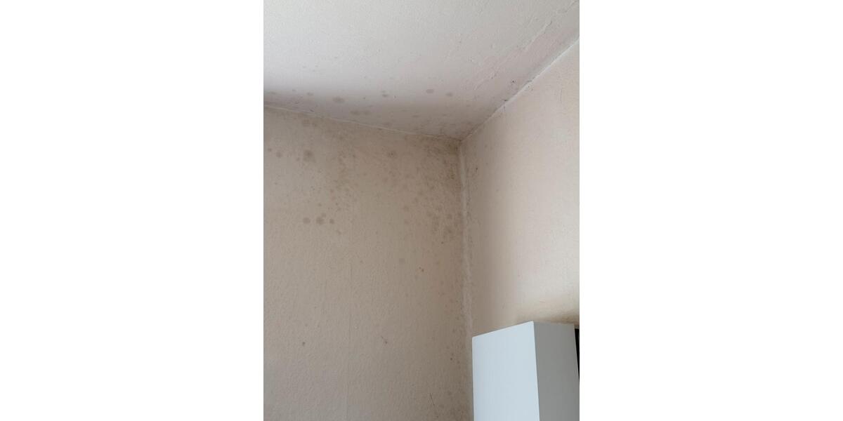 Dachgeschoßwohnung Heiligenhaus - 2 Zimmer, 61 m&sup2;, 99.000&euro; | Angebot:26889920