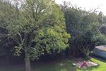 Dachgeschoßwohnung Recklinghausen Berghausen - 3 Zimmer, 63 m&sup2;, 459&euro; | Angebot:25355286