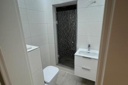 Modern sanierte 2-Zimmer-Dachgeschosswohnung in zentraler Lage 2 zimmer