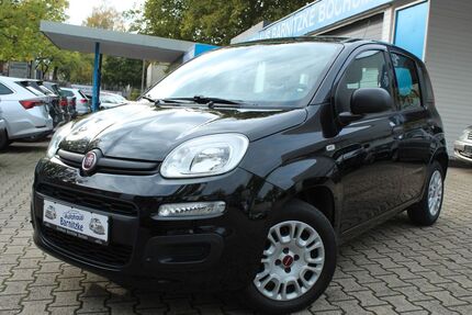 Fiat Panda 71.380 km 7.890 &euro; Bochum 44866