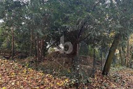 NATURNAH UND RUHIG - IHR NEUES ZUHAUSE - Grundstück Bochum Bochum-Nord | Angebot:25537579