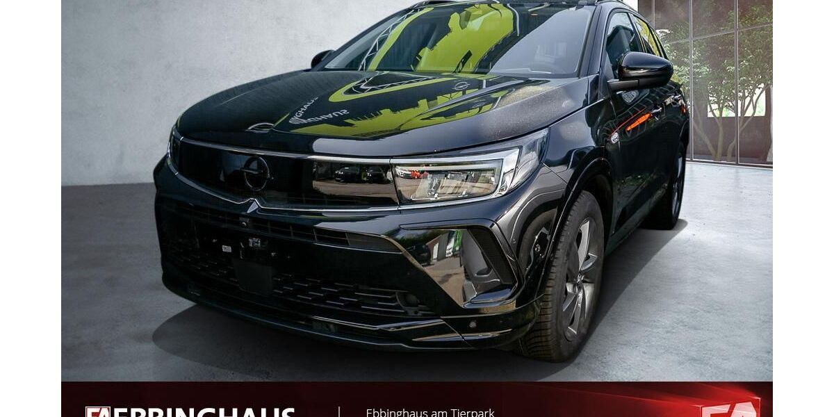 Opel Grandland (X) 29.771 km 25.699 &euro; Dortmund 44225