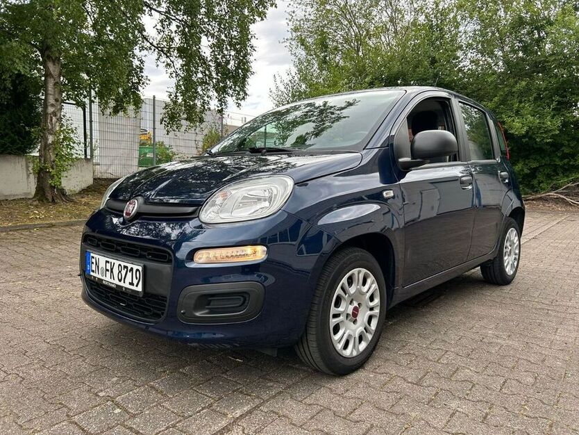 Panda