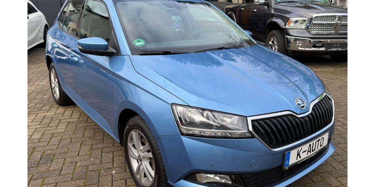 Skoda Fabia 106.300 km 10.490 &euro; Herne 44625