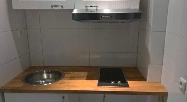 Single-Apartment mit Pantry-Küche und Gartennutzung 2 zimmer