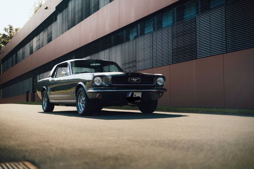 Mustang