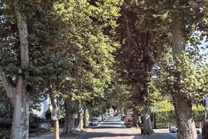 3 Zimmer Wohnung in top Lage von Ratingen-Süd