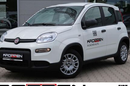Fiat Panda 11.000 km 12.480 &euro; Herten 45701