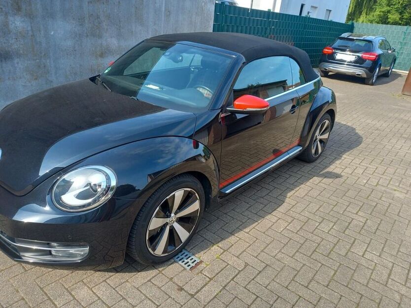 Beetle