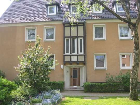 Wohnung zum Mieten in Gelsenkirchen 309 € 39.12 m² 1 zimmer